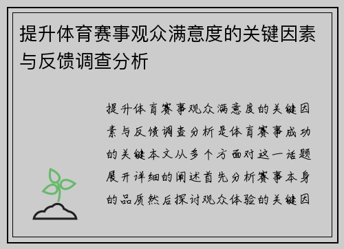 提升体育赛事观众满意度的关键因素与反馈调查分析