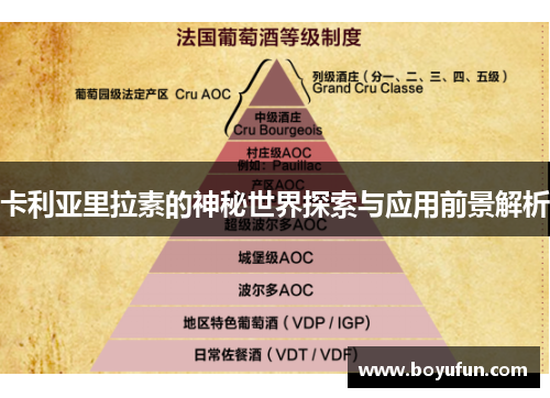 卡利亚里拉素的神秘世界探索与应用前景解析